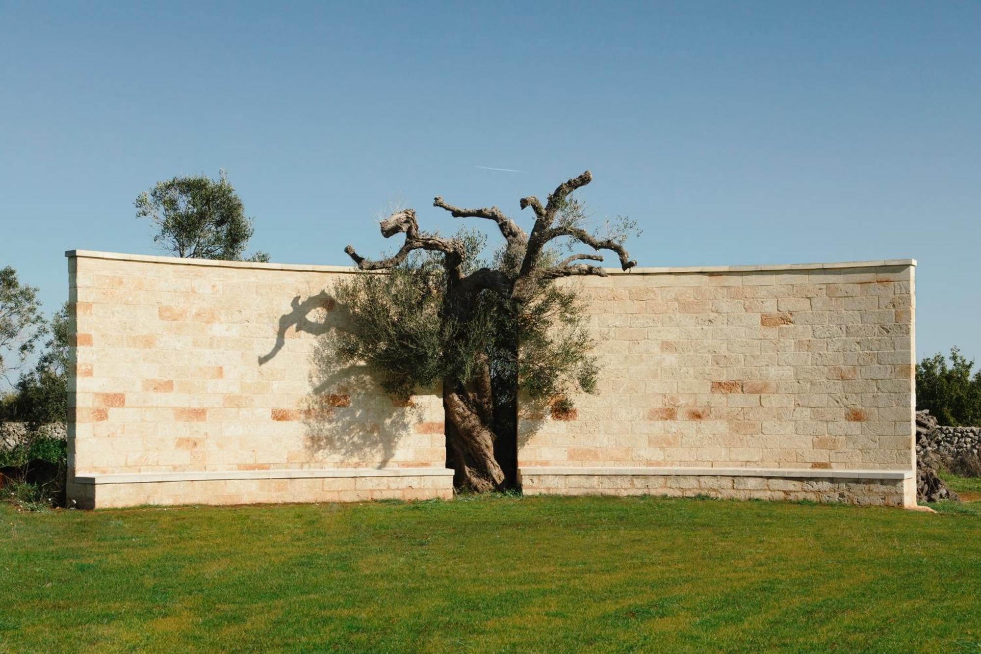 Secolario Masseria Del Viverbene Palmariggi Exterior photo